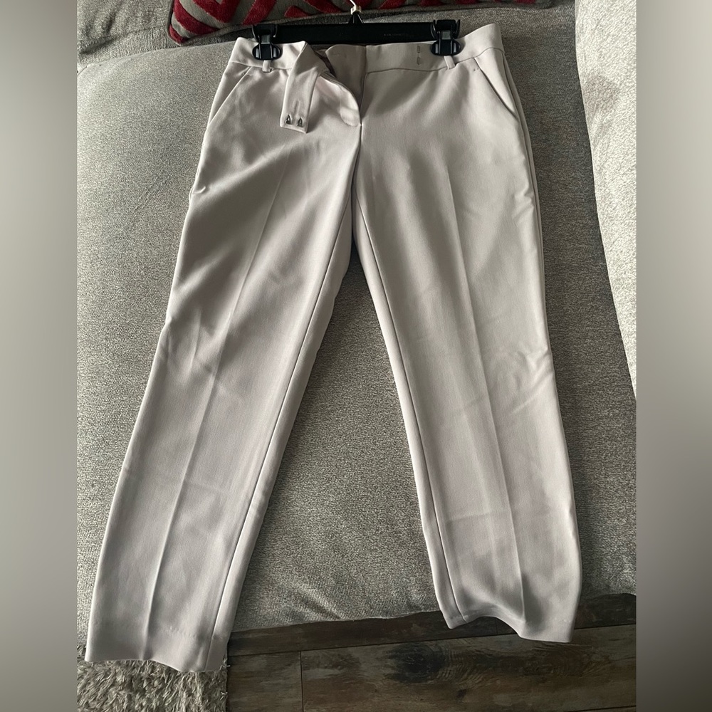 The Limited pants